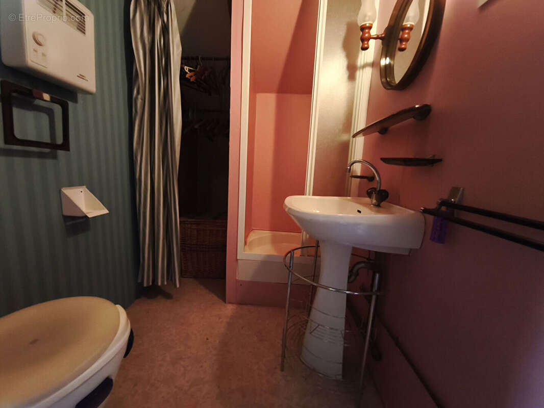Maison  5 pièces avec grange et piscine - photo 10