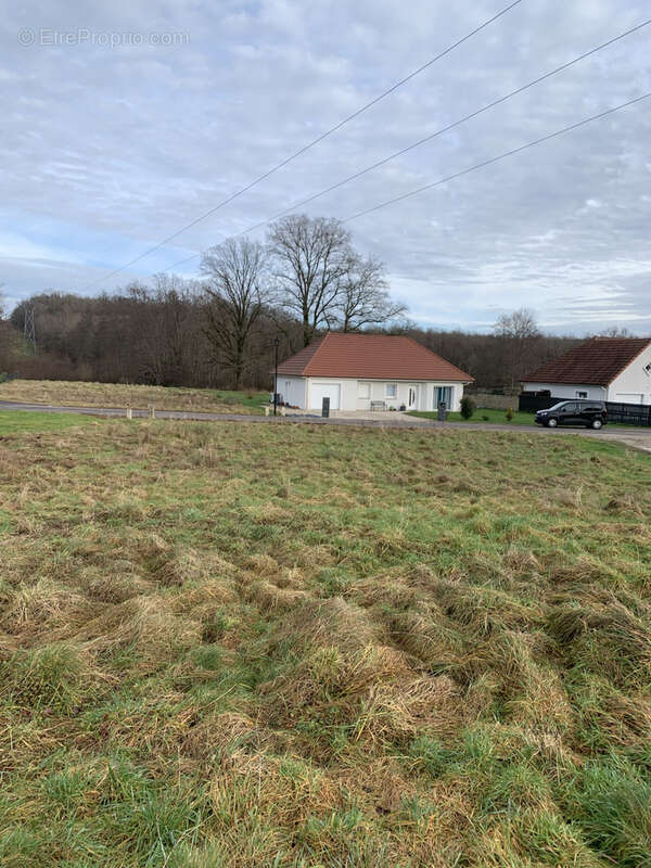 Terrain à HAUTEVELLE