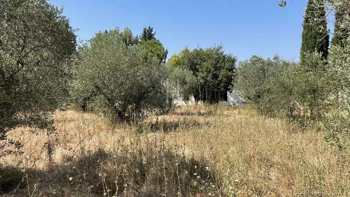 Ensemble immobilier Alpilles Sud sur terrain de 3627 M2 - photo 24