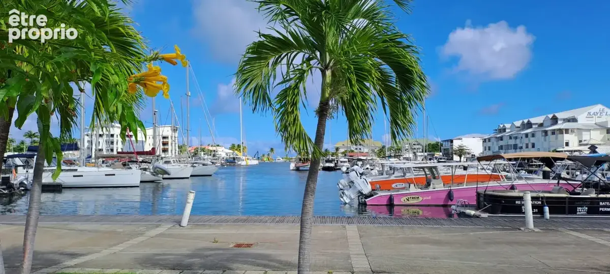 Idéal Investissement LMNP- Bel Appartement Rénové Les Marines - photo 9