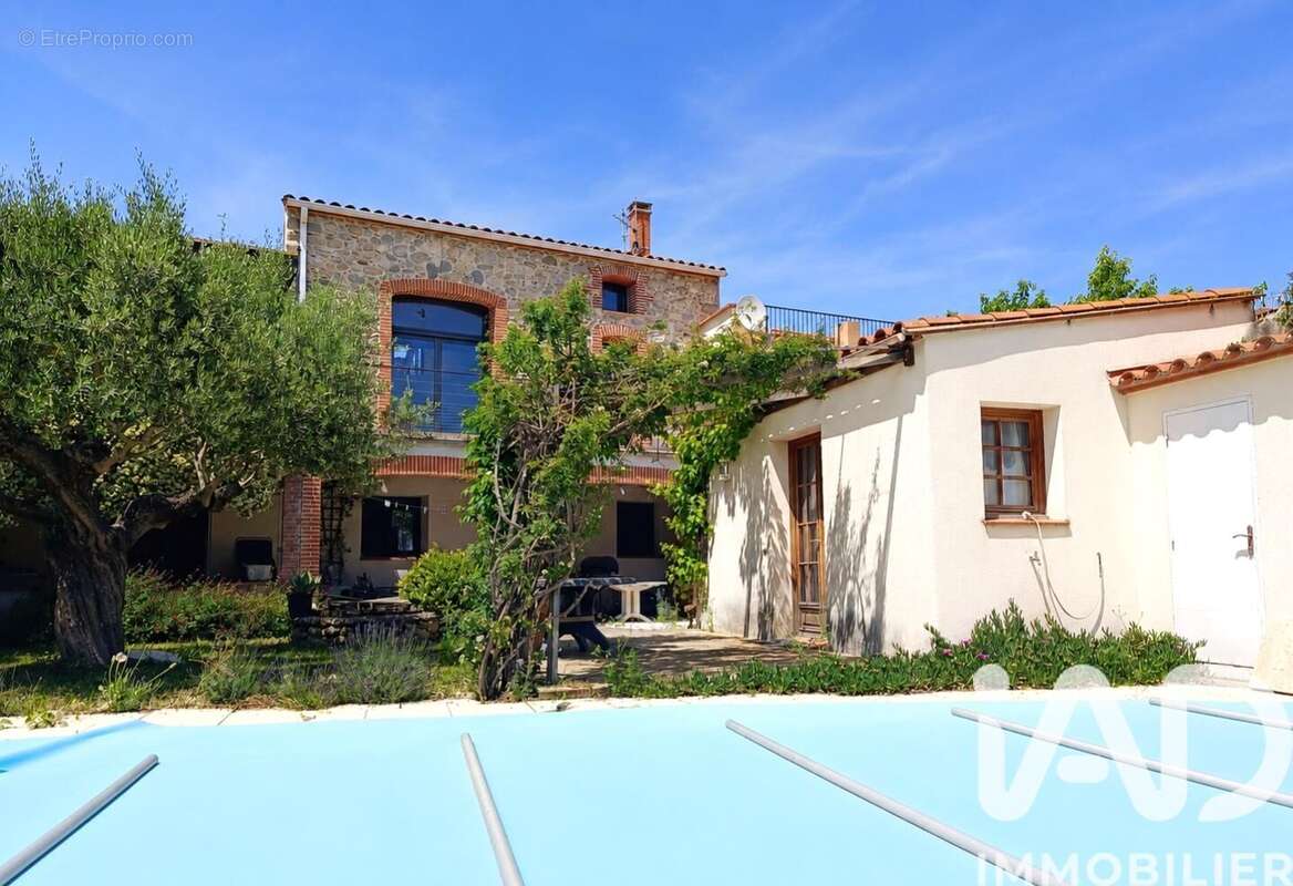 Photo 4 - Maison à SAINT-JEAN-PLA-DE-CORTS
