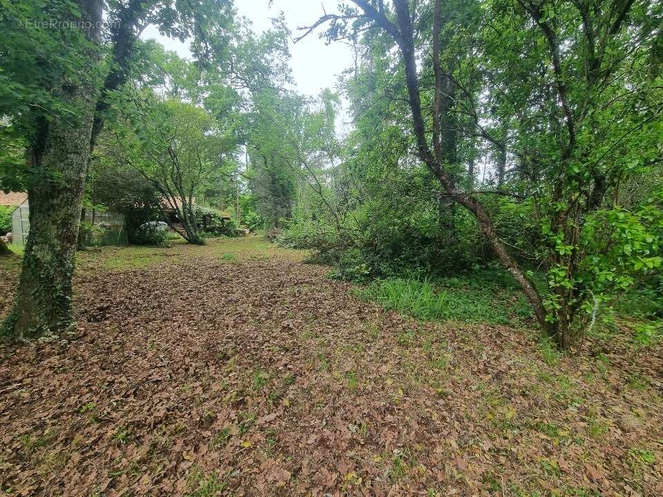 Terrain à SAINT-AUBIN-DE-MEDOC