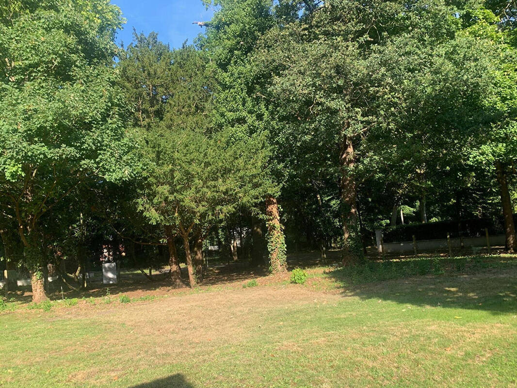 Terrain à MAISONS-LAFFITTE