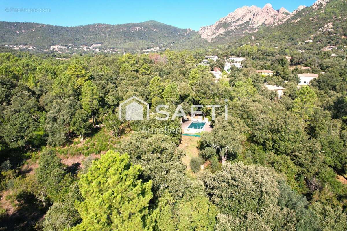 Photo 3 - Maison à PORTO-VECCHIO