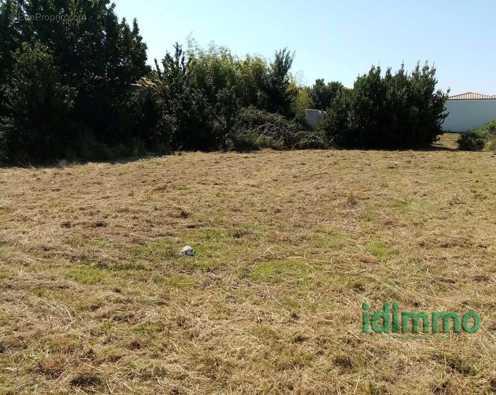Beau terrain constructible de 788 m2 viabilise. a 10 mn de la jarrie.centre bourg tous commerces, ecoles et co - photo 6