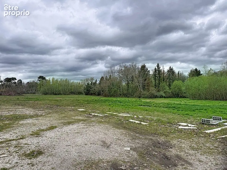 Terrain de 24000M2 - photo 3
