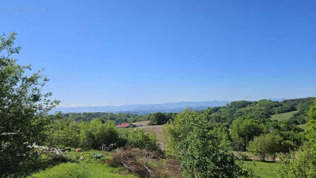 Terrain à BURGARONNE