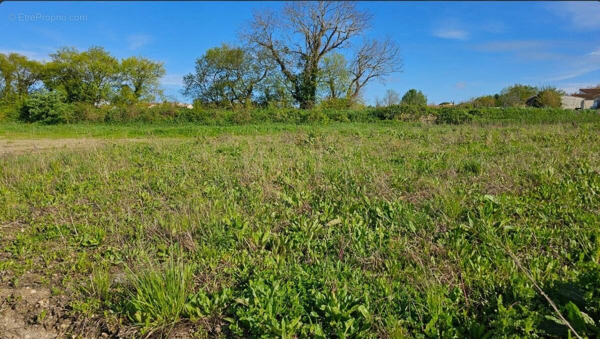 Terrain à LA ROCHELLE