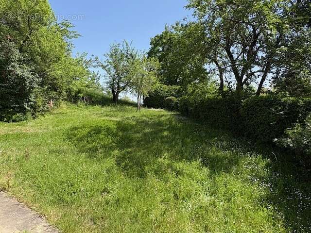 Maison à LAFRANCAISE