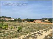 Terrain à PORTEL-DES-CORBIERES