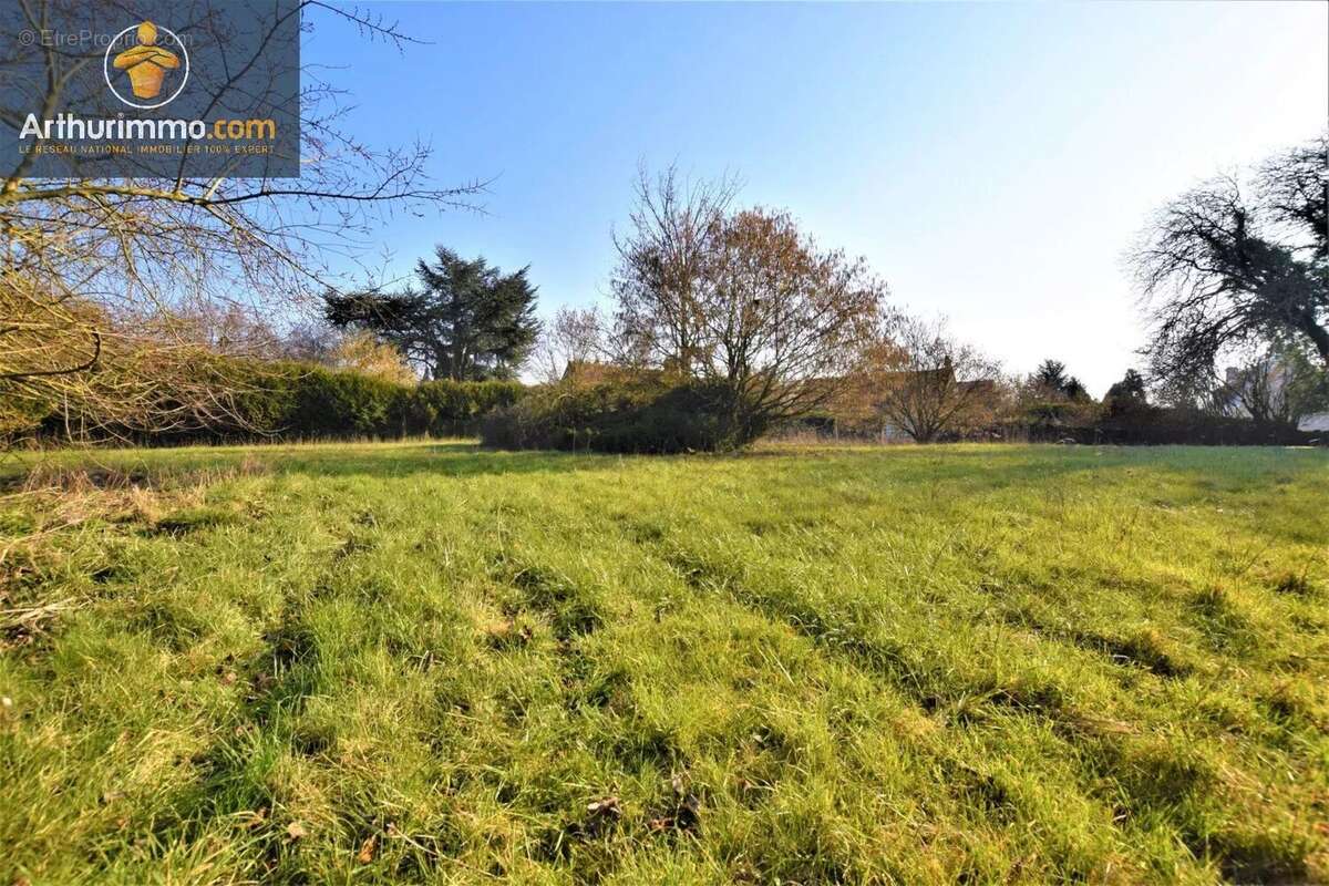 Vente Terrain Cressonsacq(60190) 50 000ï¿œ - photo 2