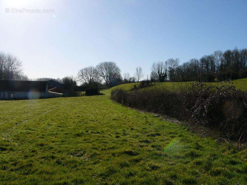Terrain à HERNICOURT