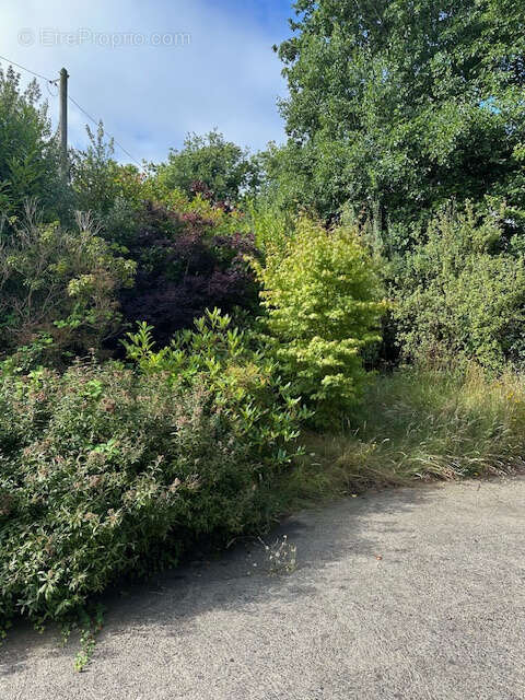 Maison à PERROS-GUIREC