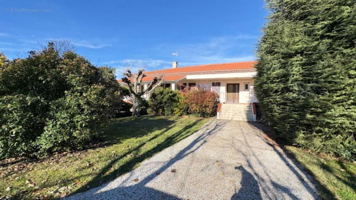 Maison à ALBI