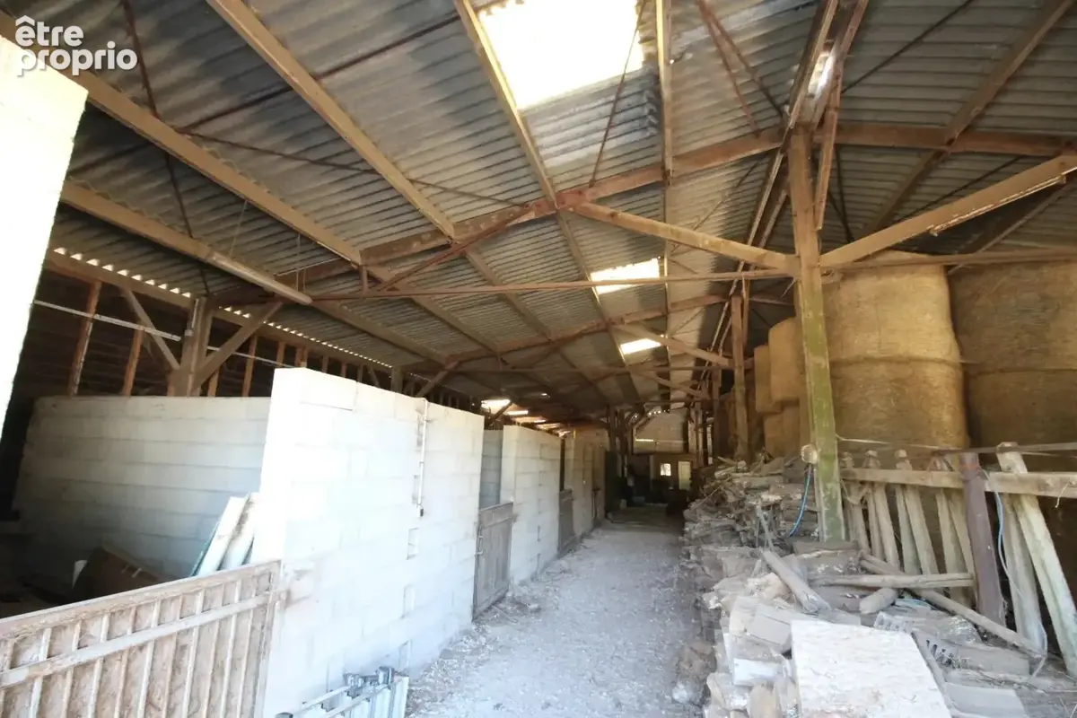Maison de 3 chambres avec piscine, 6 hectares de terrain et installations équestres - photo 14