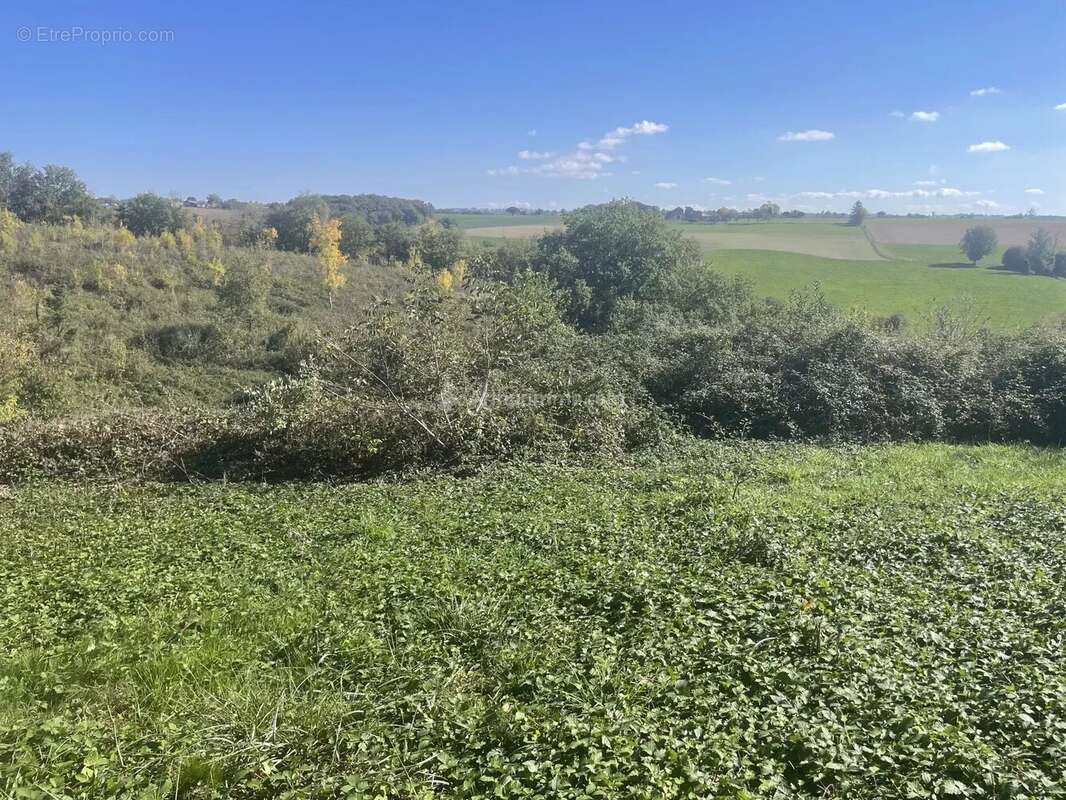 Terrain à BELLEGARDE