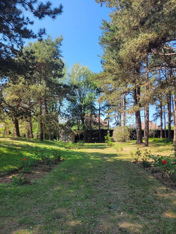 Maison à MERVILLE-FRANCEVILLE-PLAGE