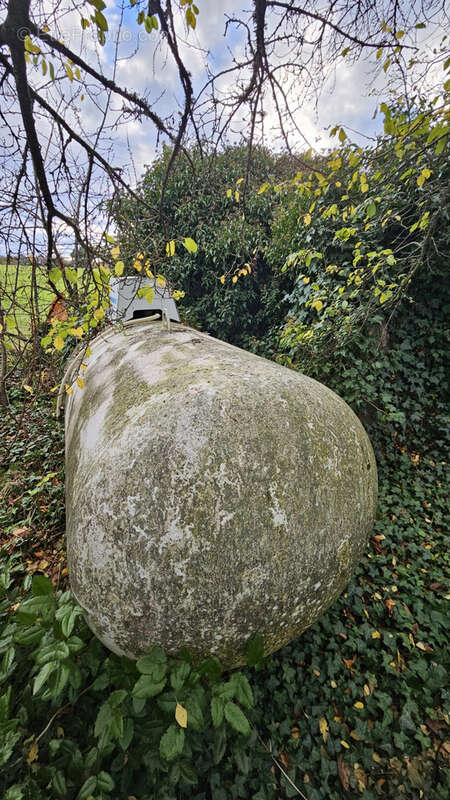 Maison à ERVAUVILLE