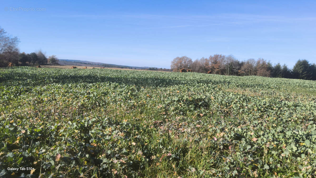 Maison à SAINTE-ANNE-SAINT-PRIEST
