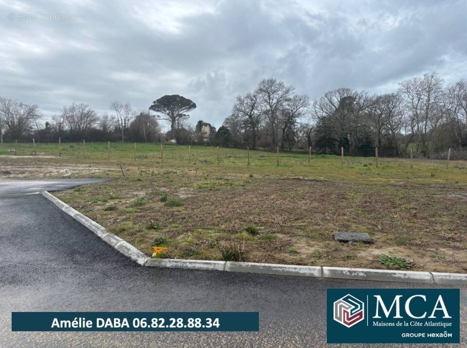 Terrain 519 m² à Saubrigues  - photo 1