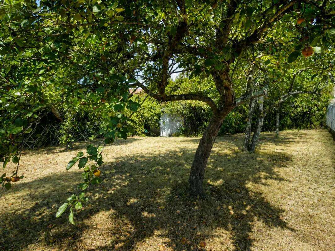 Maison de 5 pièces de 162 m² à Limoges - photo 24