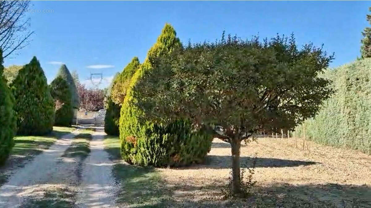 Terrain à BOUC-BEL-AIR