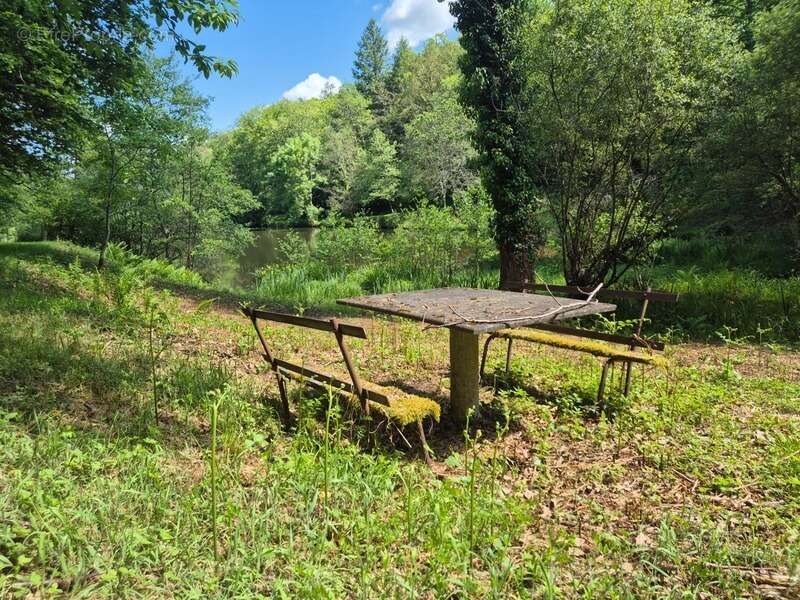 Terrain à PRESSIGNAC