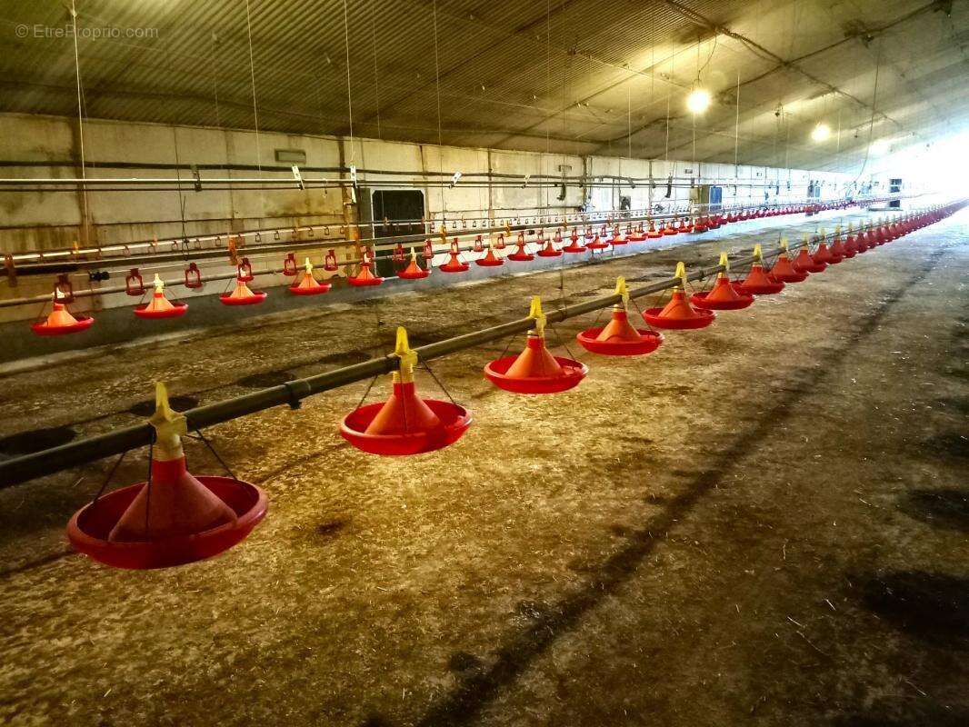 Maison à SAINT-MARS-LA-JAILLE