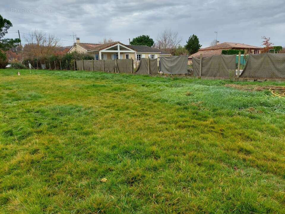 Terrain à BUZET-SUR-TARN
