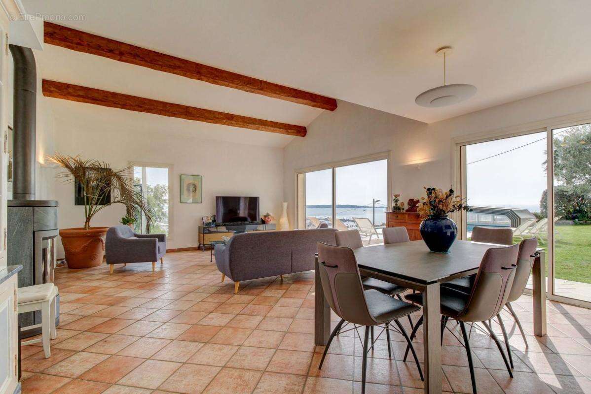 VALLAURIS- SUPER CANNES Magnifique propriété avec 2 maisons- vue mer- piscine - photo 5