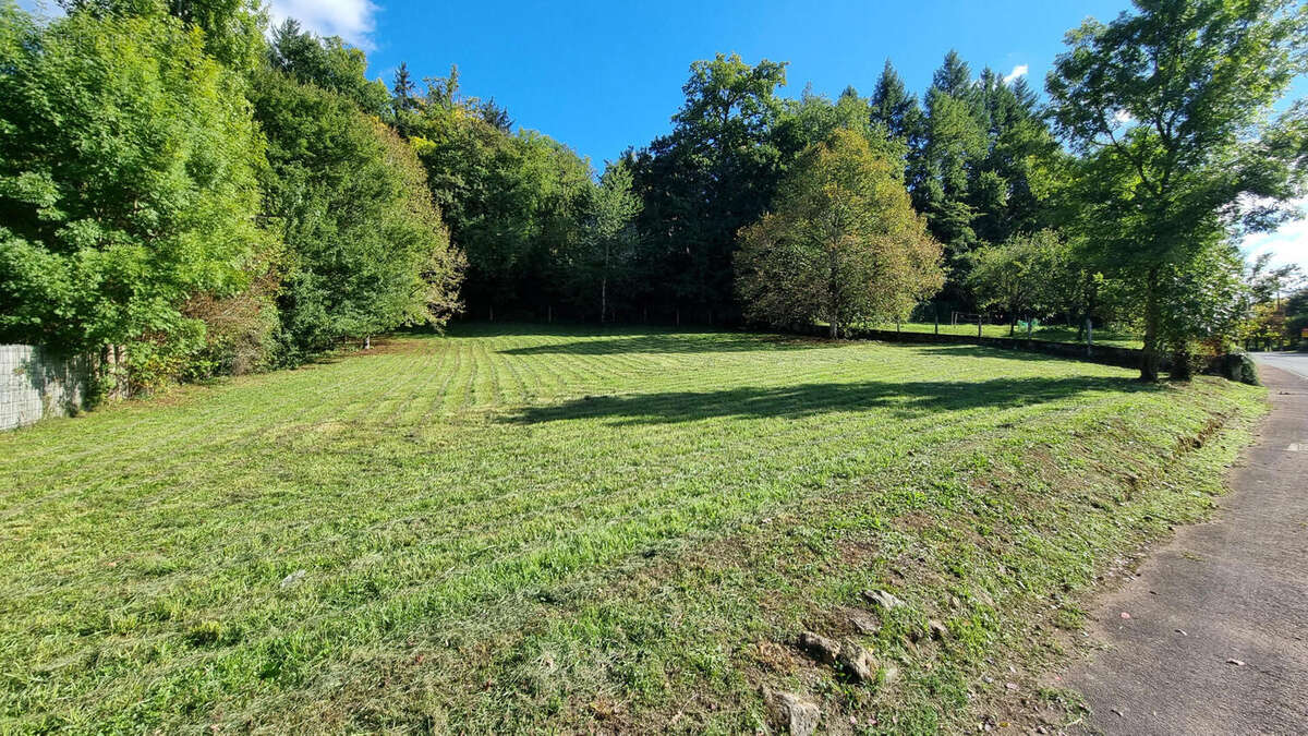 20250930_155424 - Terrain à SAINT-PARDOUX-LA-RIVIERE