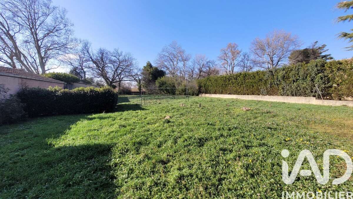 Photo 2 - Terrain à MORIERES-LES-AVIGNON