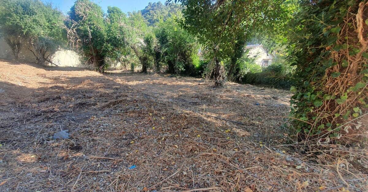 Terrain à TOURRETTE-LEVENS