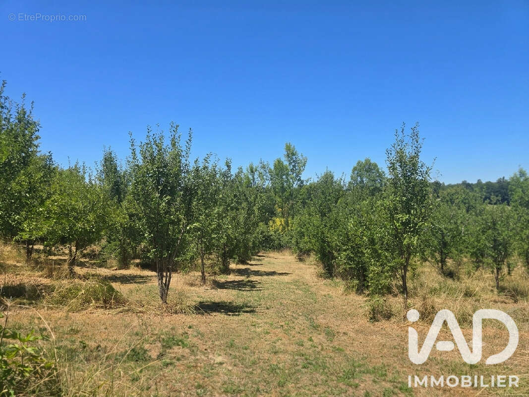 Maison 122 m² à Beaumont-Du-Perigord  - photo 7