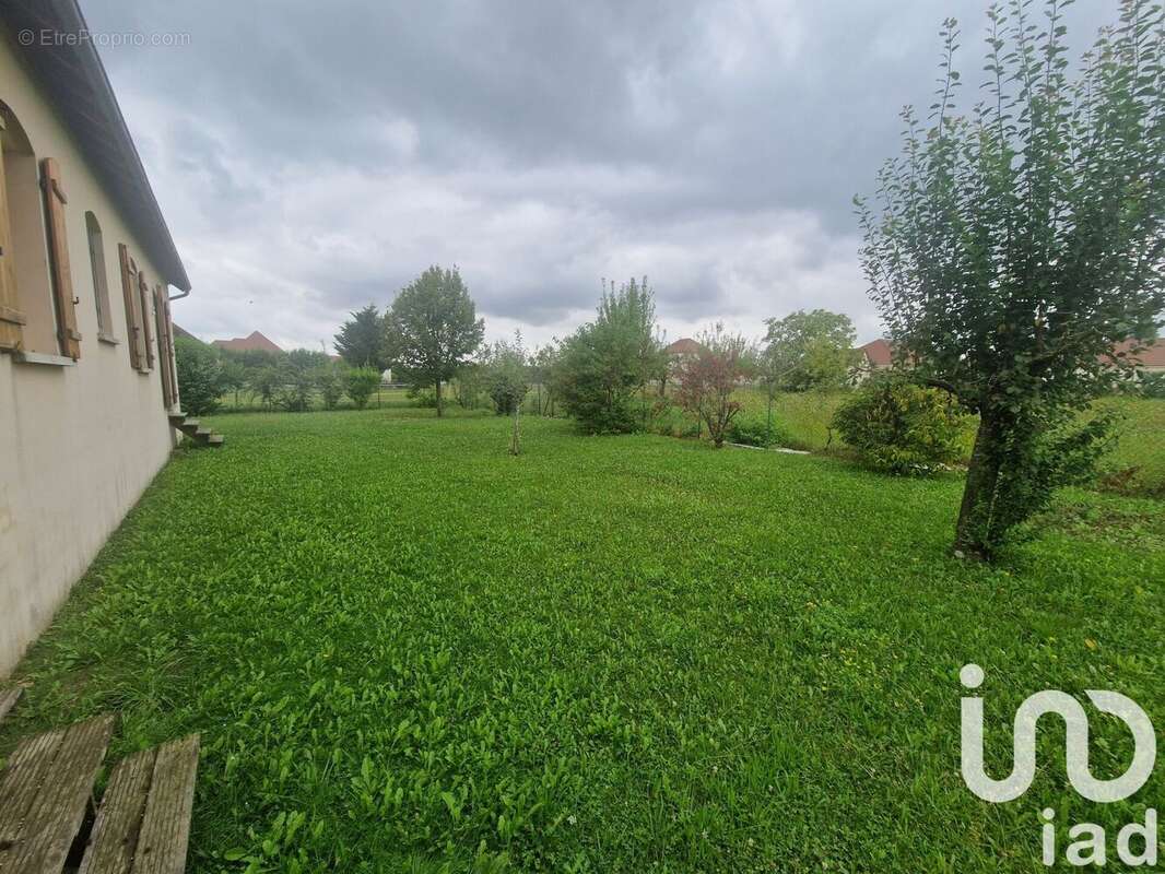 Photo 9 - Maison à MOUSSEY