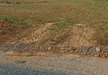 Terrain à SAINT-HILAIRE-DE-CHALEONS