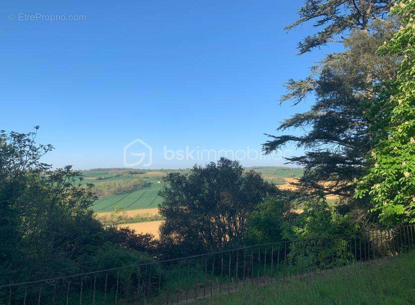 Proche d' Auch - Propriété de 27ha avec Château - photo 2