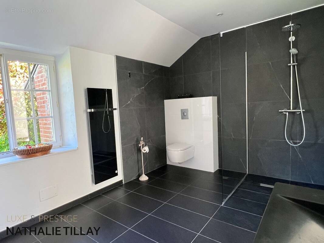 Orléans, Propriete à vendre, superbe Moulin rénové et bordé par la rivière, a l est d Orleans, parcelle de 4500 m² - photo 20