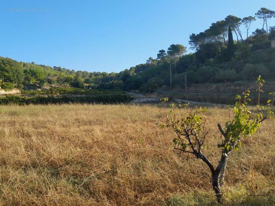 Terrain 1262 m² à Cotignac  - photo 2