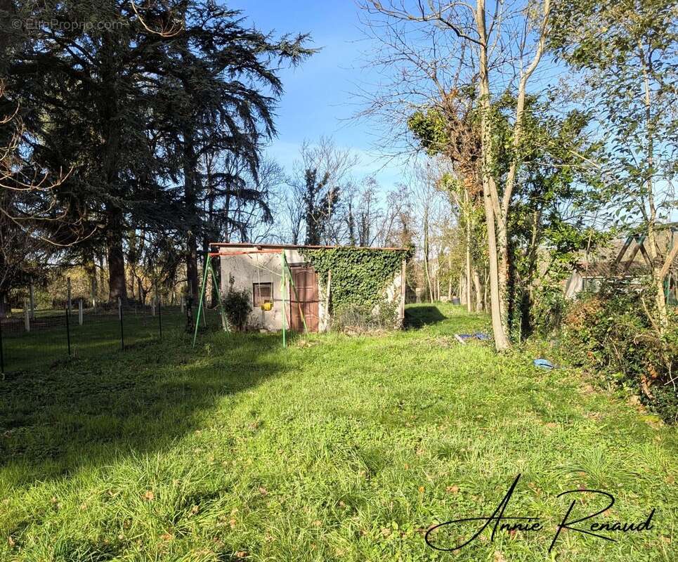 Maison à SAINT-VITE