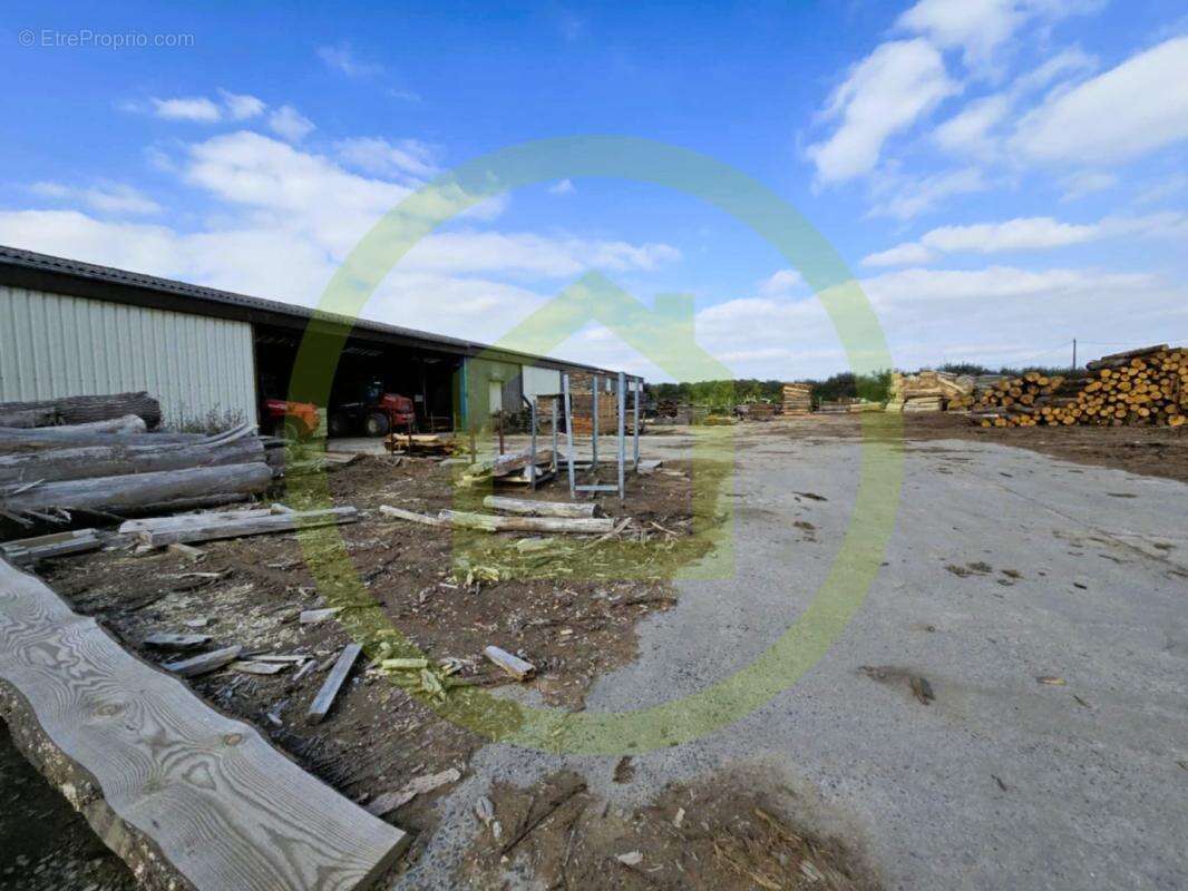 Commerce à CELLES-SUR-BELLE