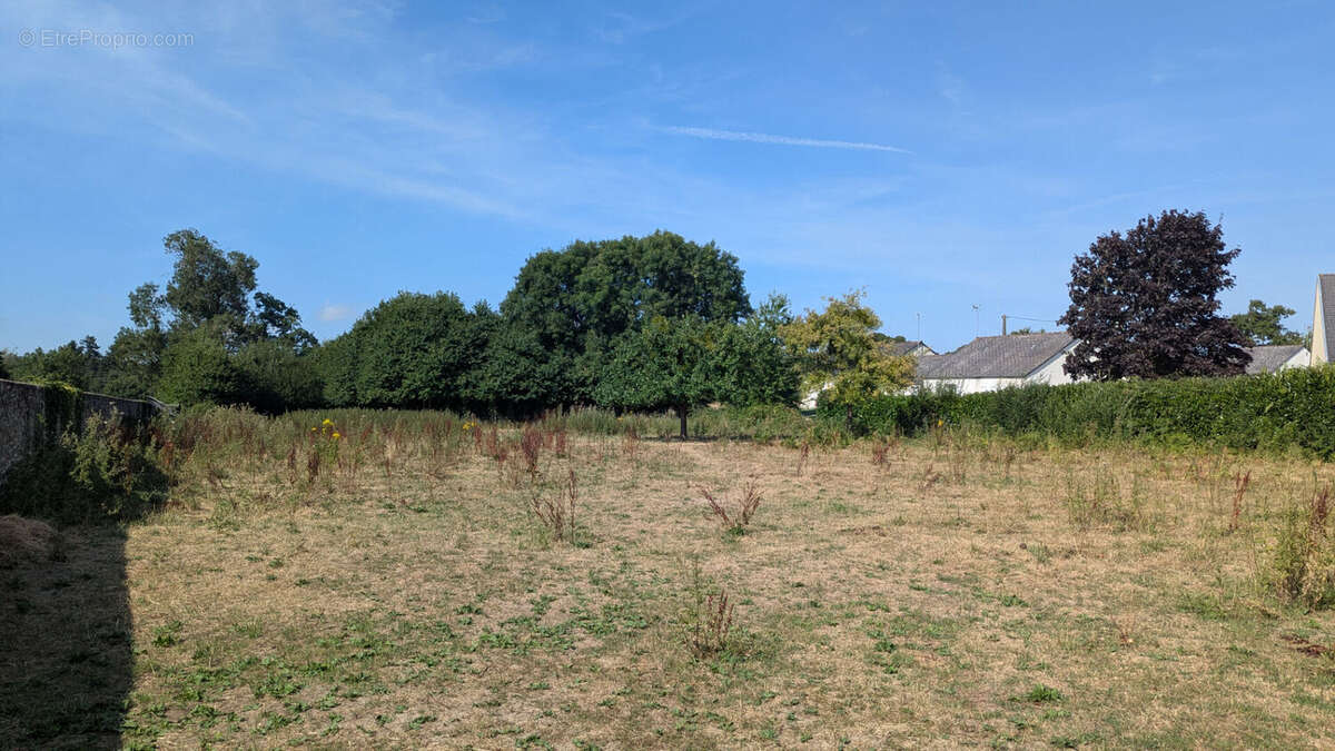 Terrains a batir 6 lots  a viabiliser  sur 3649 m² - sains (35610) - photo 3