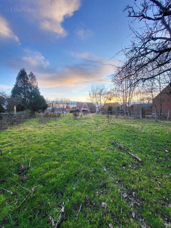 Terrain à BERSEE