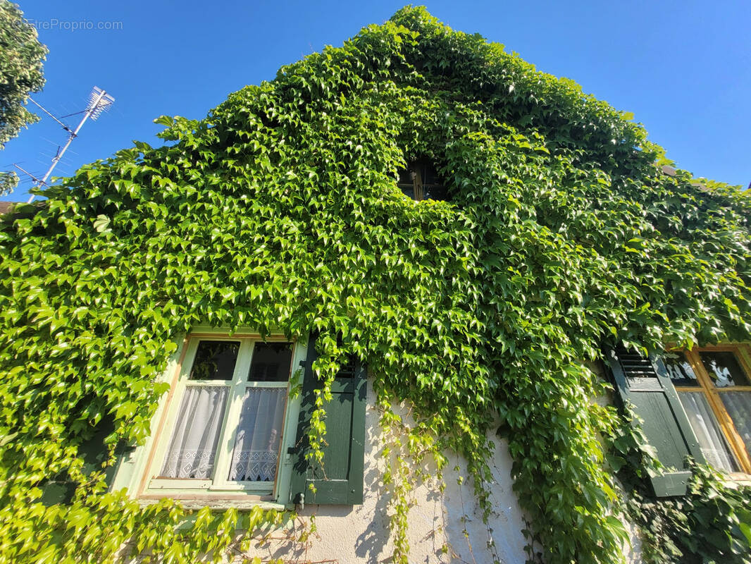 Maison à VILLAGE-NEUF