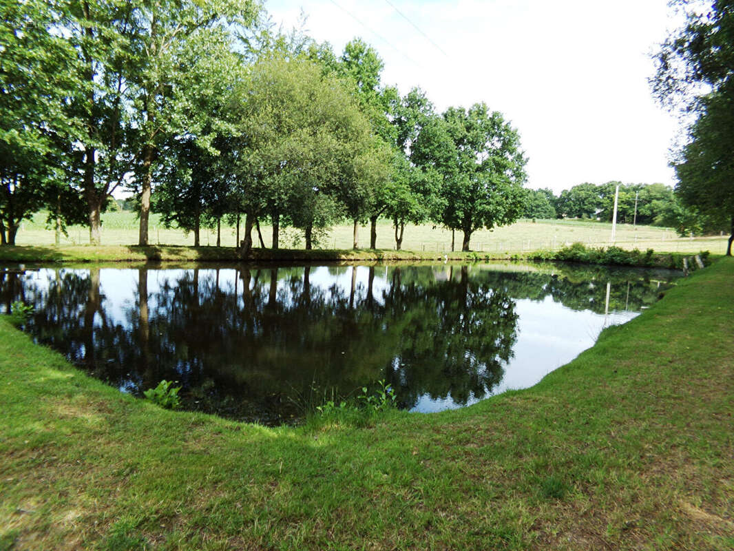 REGION MORTAIN BOCAGE - propriété avec étangs - photo 6