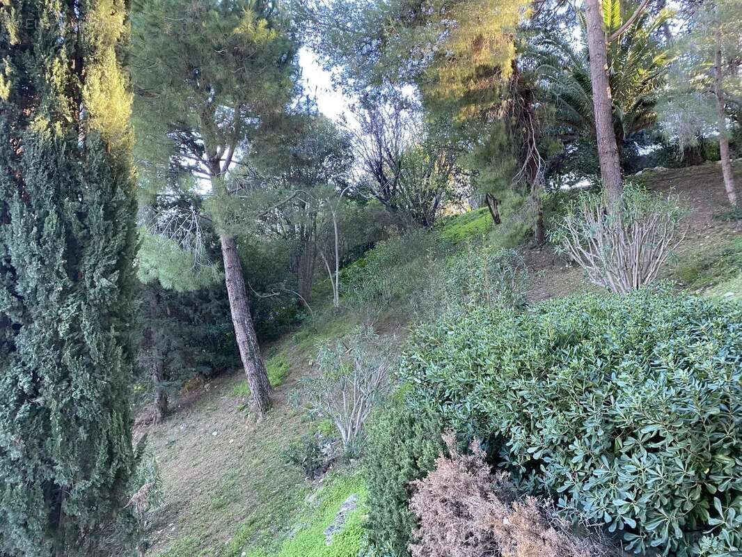Roquebrune 2 pièces 60m2 cap martin vue mer parking - photo 14