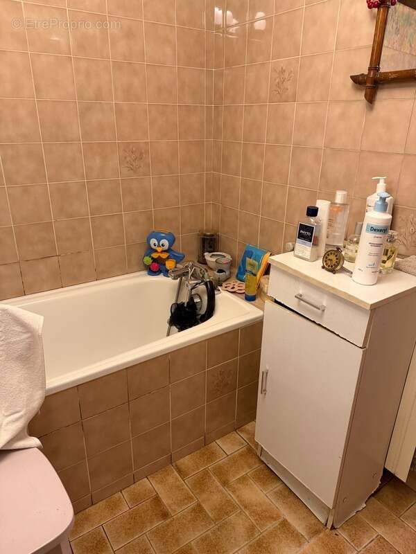 Maison à SAINT-SULPICE-LE-DUNOIS