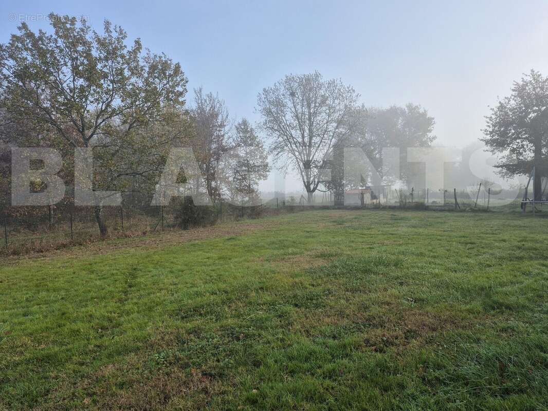 jardin-2 - Maison à LABASTIDE-DU-TEMPLE