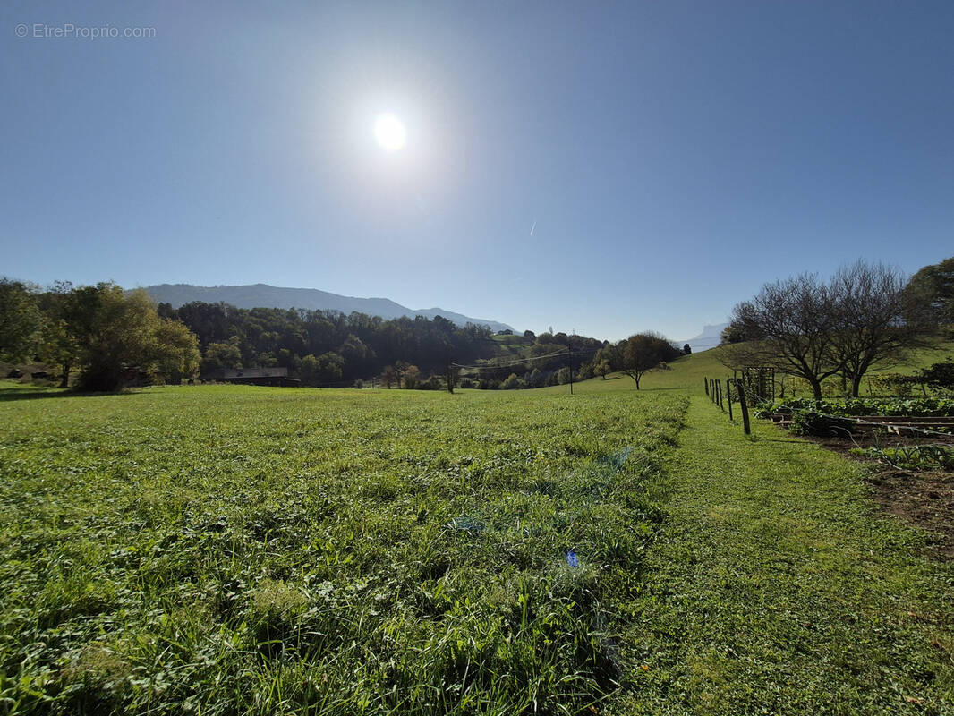 Terrain à LA CHAPELLE-BLANCHE