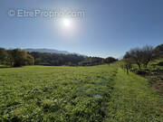 Terrain à LA CHAPELLE-BLANCHE